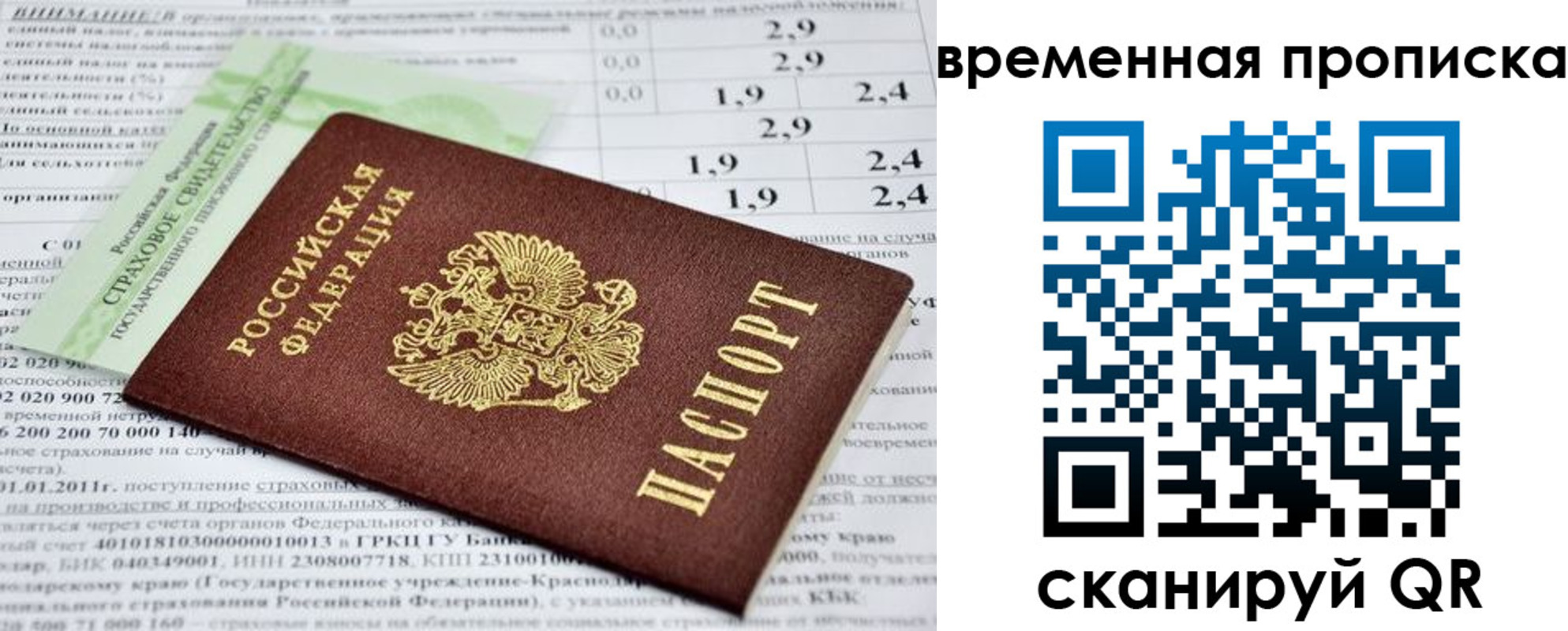 временная прописка в Павловске